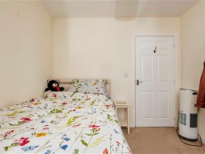 Picture 14